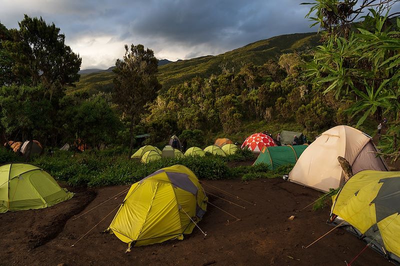 Machame Camp - Kilimandjaro - Tanzanie