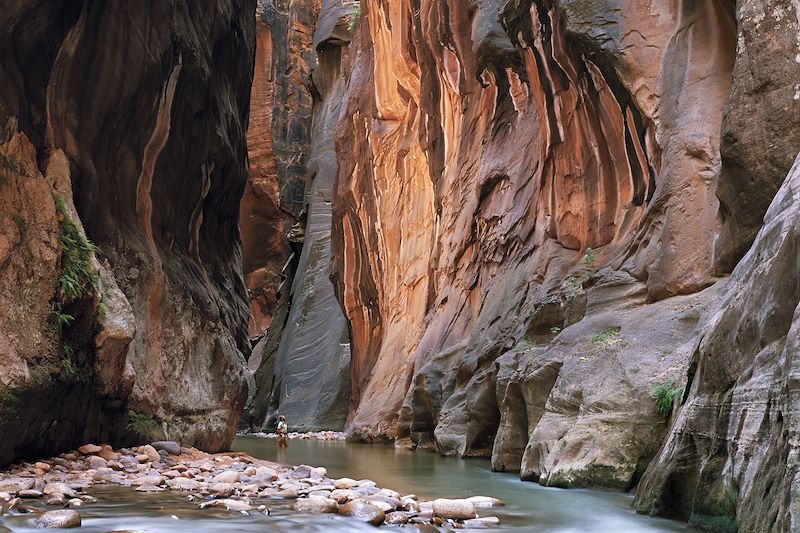Parc national de Zion - Utah - Etats-Unis