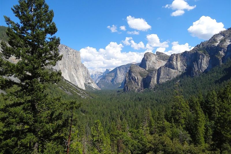 Parc national de Yosemite - États-Unis