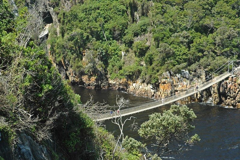 Pont suspendu dans le parc national de Tsitsikamma - Cap-Occidental - Afrique du Sud