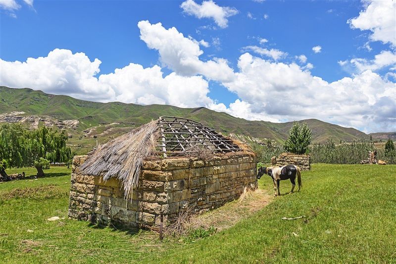 Ferme traditionnelle - Lesotho - Afrique du Sud