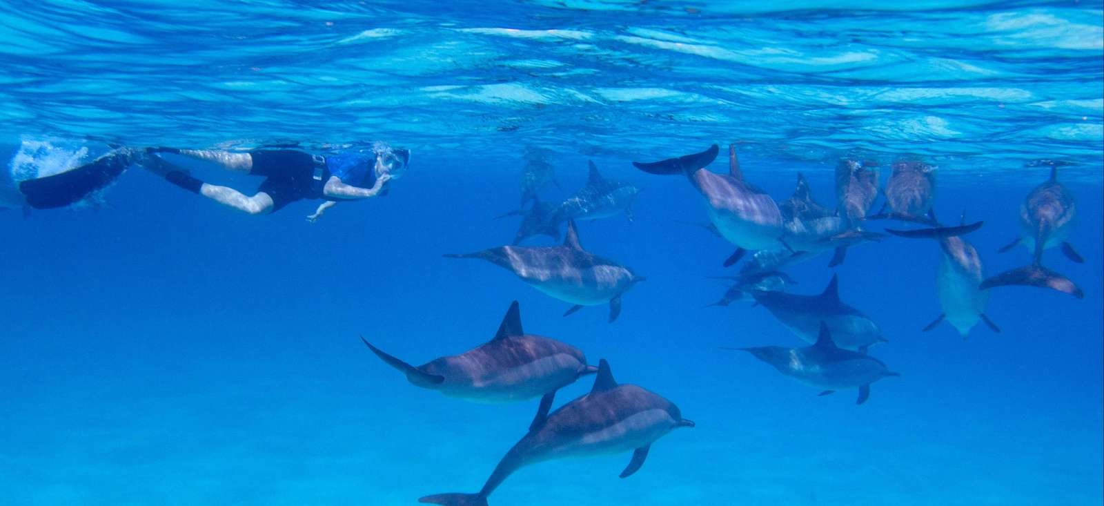 Voyage sur l'eau Egypte : Dans les abysses de la mer Rouge… Voyage sur l'eau : Egypte : Dans les abysses de la mer Rouge…