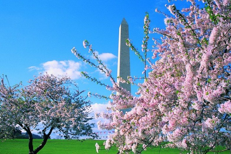 Washington Monument - Usa
