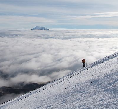 Crescendo d'ascensions volcaniques : Fuya Fuya, Imbabura, Rucu Pichincha, Corazon, Illiniza Norte, Cotopaxi et Chimborazo (6 263m)