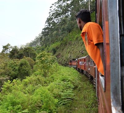 Découverte du Sri Lanka, entre trajet insolite en train, site majestueux, safari et nuit au monastère bouddhiste.