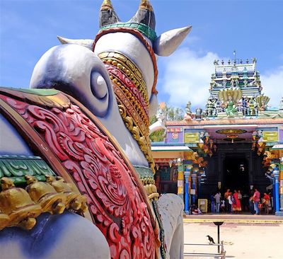 Découverte du Nord avec Jaffna, Anuradhapura, de la région montagneuse des Knuckles et des plages tranquilles de Trincomalee