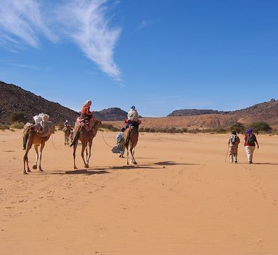 Randonnée chamelière en Mauritanie entre dunes somptueuses et oasis luxuriantes