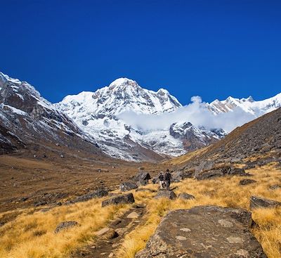 Trek au Népal au sanctuaire des Annapurna et découverte des villages Gurung et de la vallée de la Modi Khola