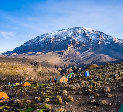 Ascension du Kilimandjaro par la voie Machame de la forêt tropicale jusqu'au glacier... et réconfort à Zanzibar !