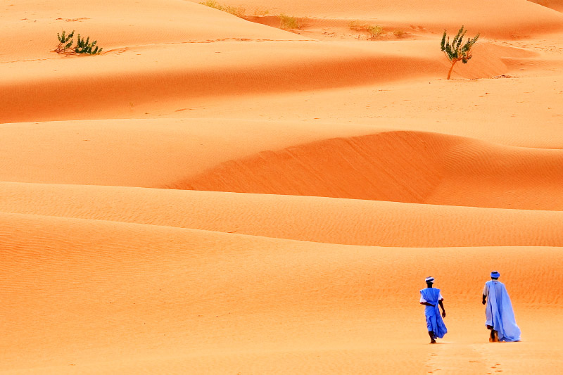Mauritanie : contes et histoires du désert