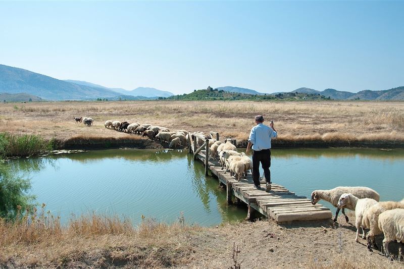 Berger dans la région de Butrint - Albanie