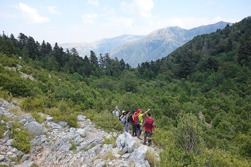 Parc national Llogara - Albanie