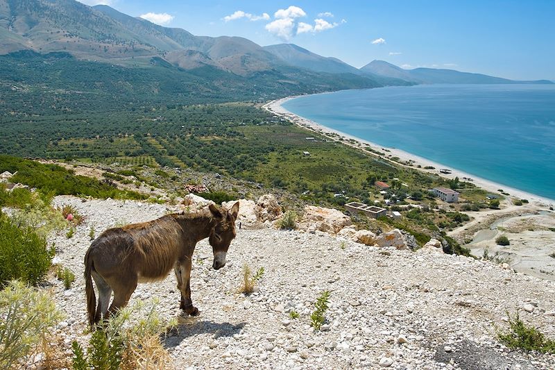 Vue sur la plage de Qeparo - Albanie