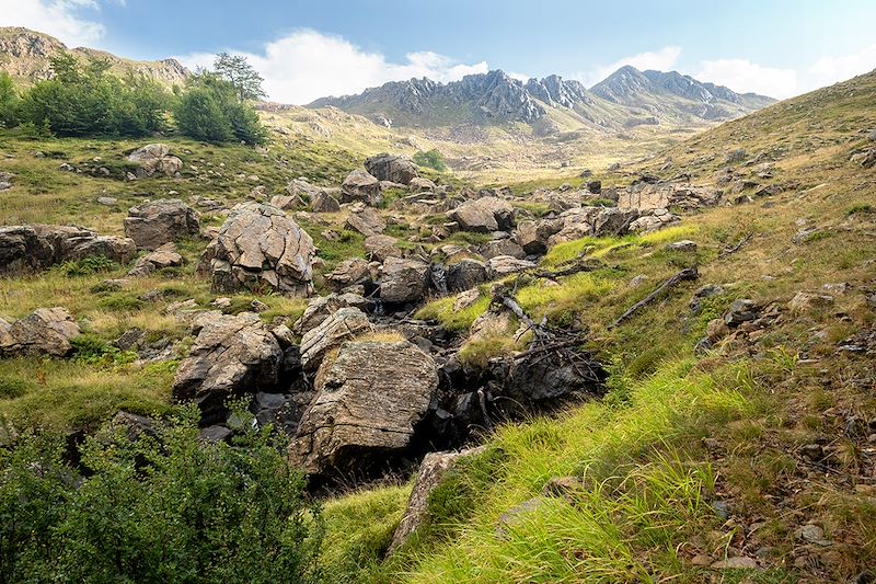 Parc national de Shebenik-Jabllanicë - Préfecture d'Elbasan - Albanie