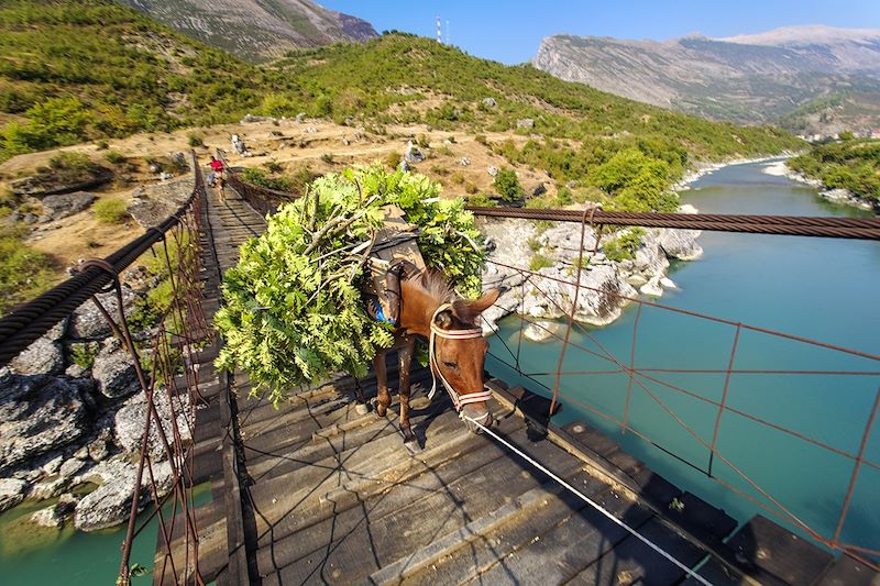 Pont sur la Vjosa - Albanie