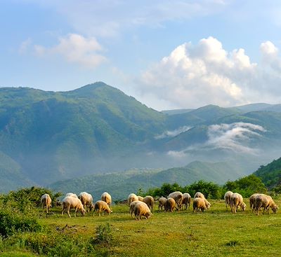 Voyages sur mesure Albanie