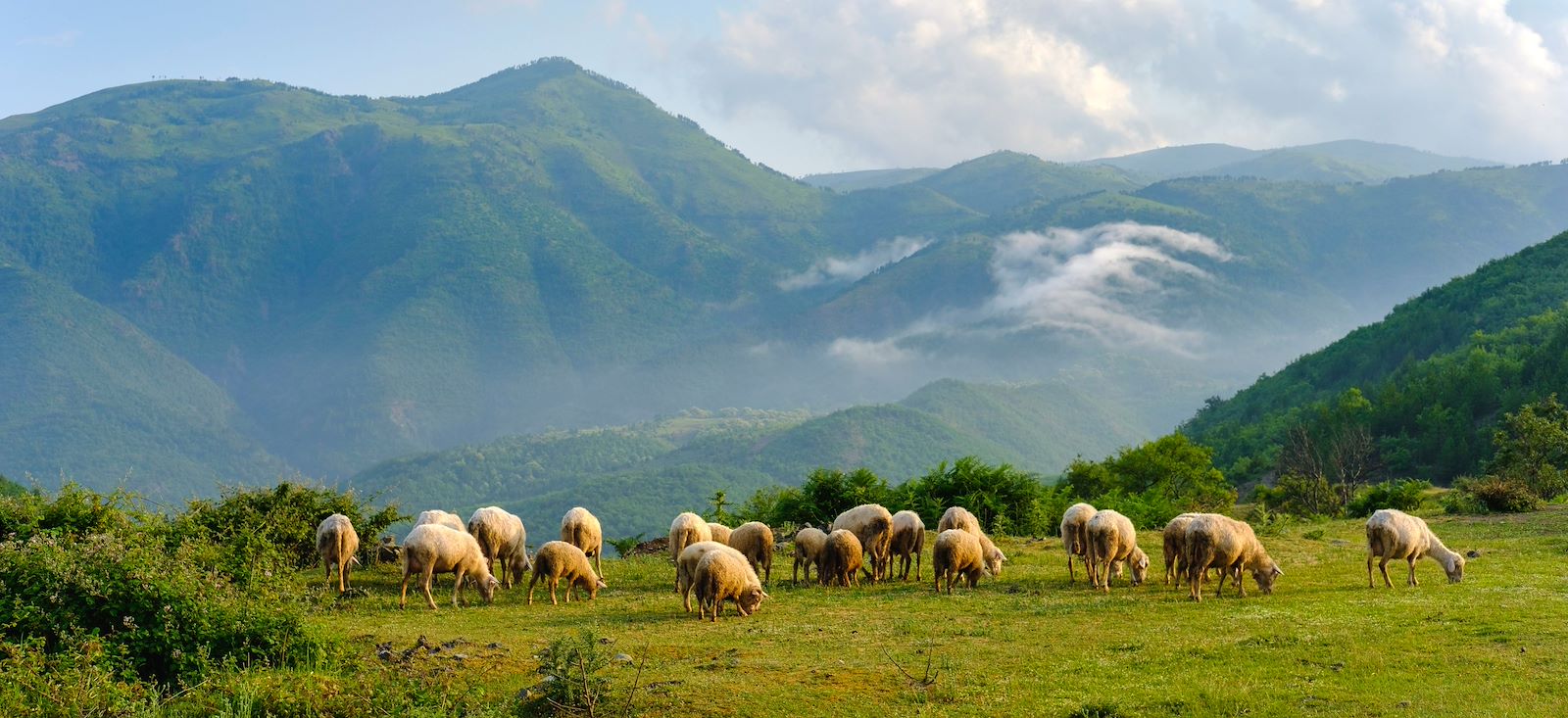 Trek - Ma vie de berger en Albanie