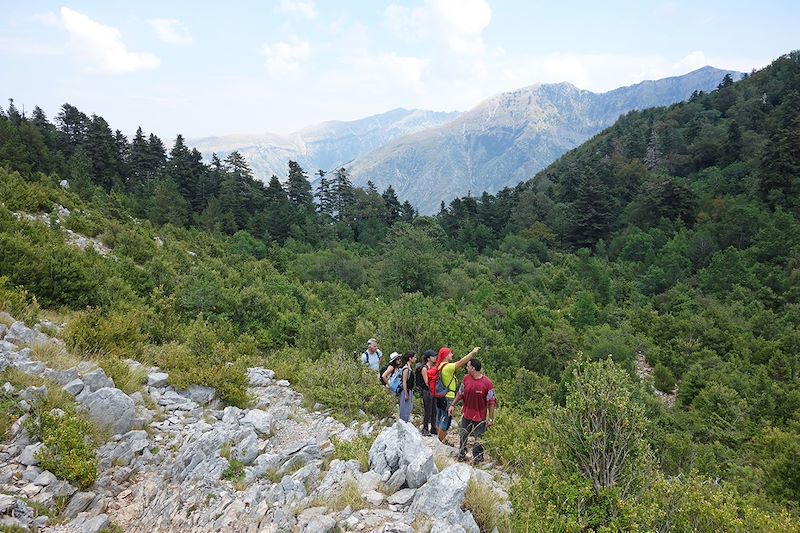 Parc national Llogara - Albanie