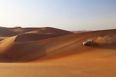 voyage Émirats arabes unis