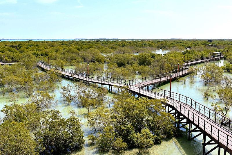 Jubail Mangrove Park - Abu Dhabi - Émirats arabe unis