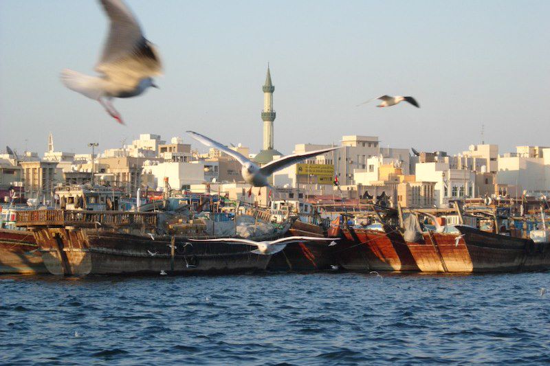 Port de Dubai - Émirats Arabes Unis
