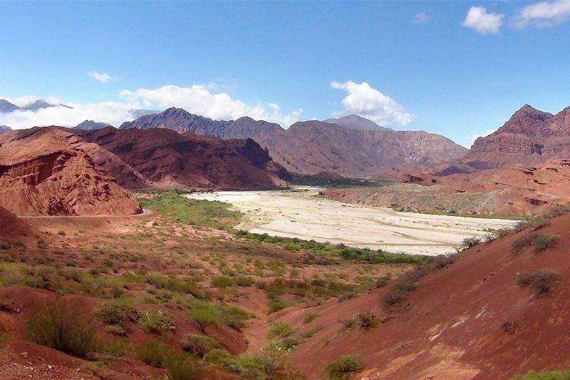 Quebrada de las Conchas - Département de Cafayate - Vallées Calchaquies - Province de Salta - Nord-Ouest Argentin - Argentine