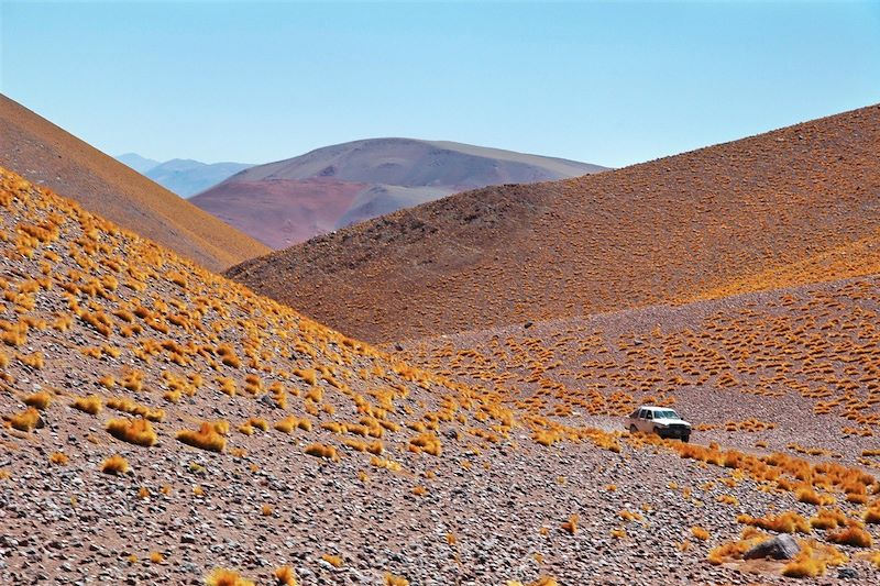 Quebrada de las Conchas - Cafayate - Province de Salta - Argentine