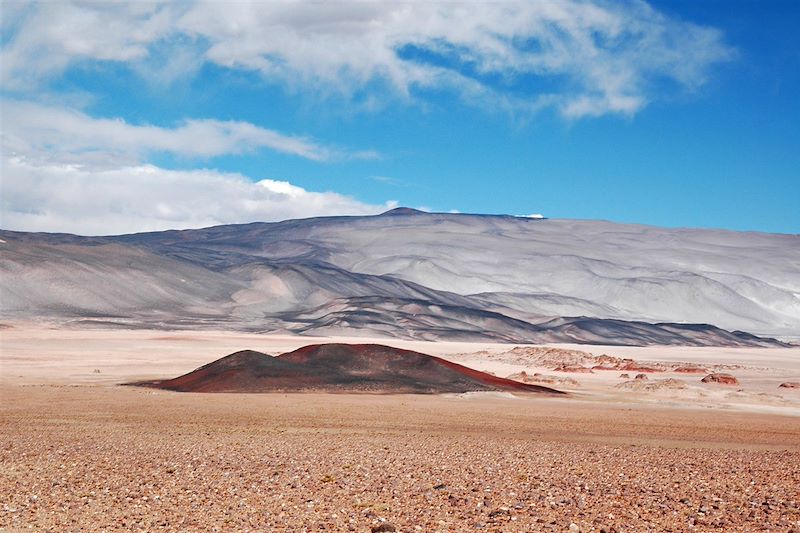 Quebrada de las Conchas - Cafayate - Province de Salta - Argentine