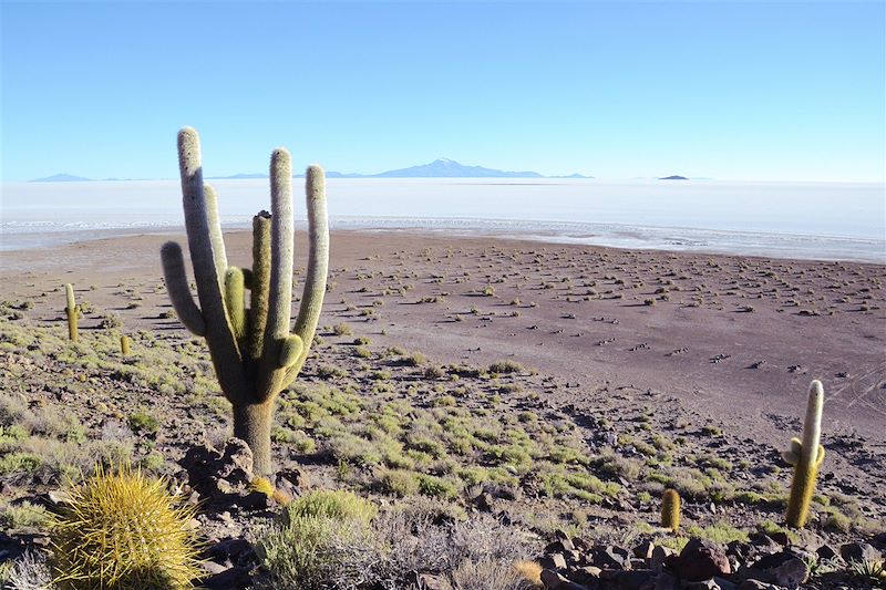 Salar Uyuni - Potosi - Bolivie