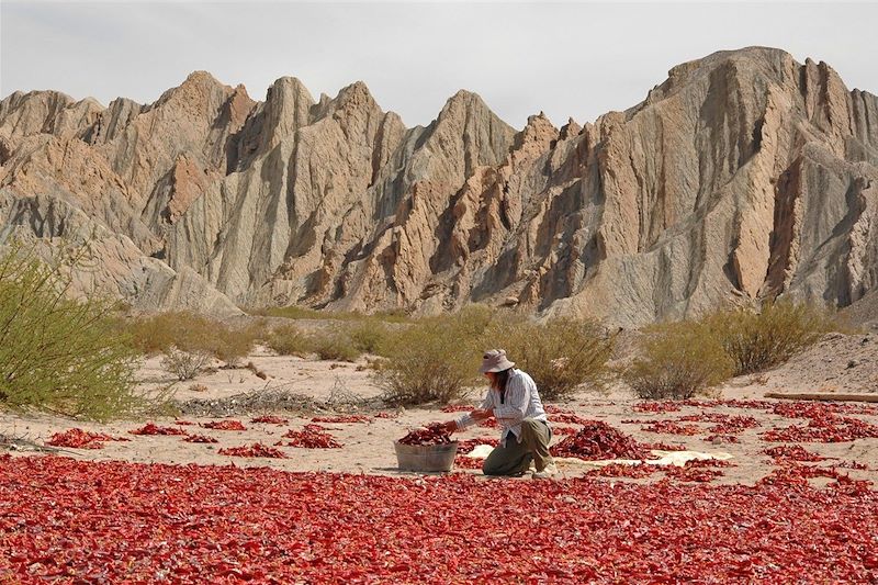 Piments rouges séchés - Vallée près de Cachi - Valles Calchaquies- Argentine