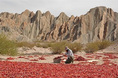 La Trilogie : Atacama, Sud Lipez & Salta 4