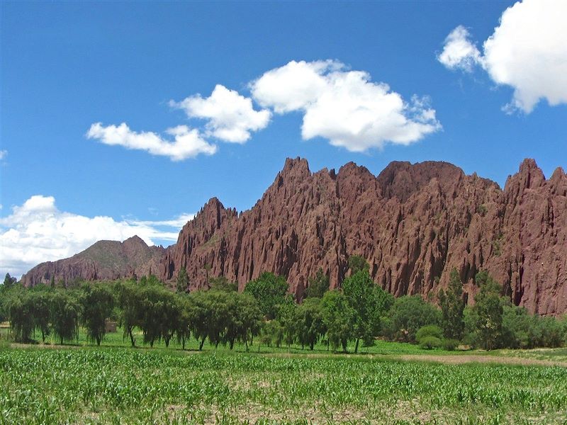 Vallée de Tupiza - Province de Sud Chichas - Département de Potosí - Bolivie