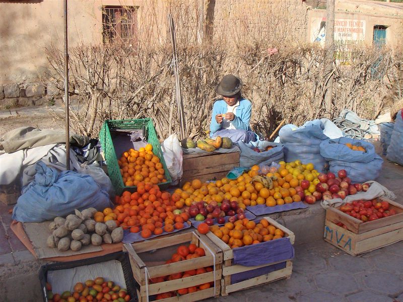 Vendeuse au marché de Tupiza - Province de Sud Chichas - Département de Potosí - Bolivie