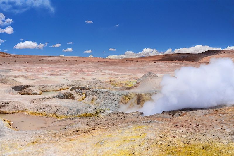 Fumerolle ou geyser dans le désert Sol de Manana - Sud Lipez - Potosi - Bolivie