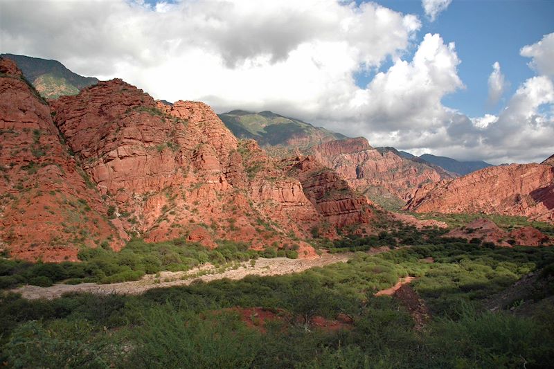 Canyon de rochers rouges - Quebrada de las Conchas - Cafayate - Argentine