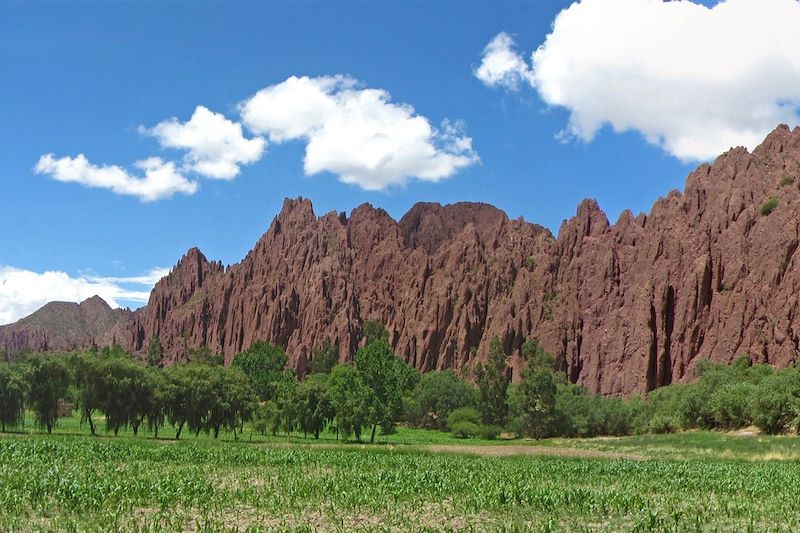 Vallée de Tupiza - Province de Sud Chichas - Département de Potosí - Bolivie