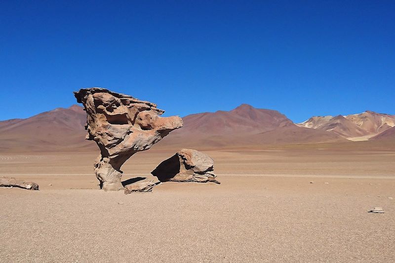 Arbol de Piedra - Bolivie