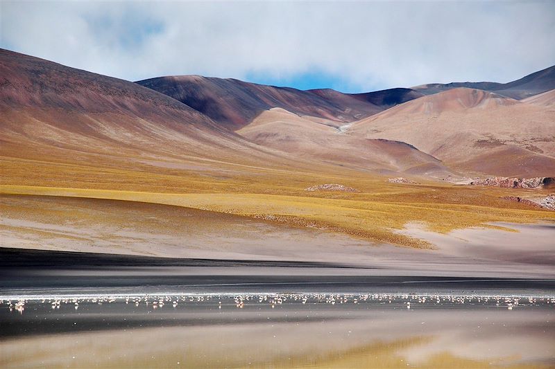 Quebrada de las Conchas - Cafayate - Province de Salta - Argentine