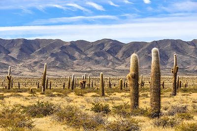 voyage Les incontournables du Nord-Ouest Argentin