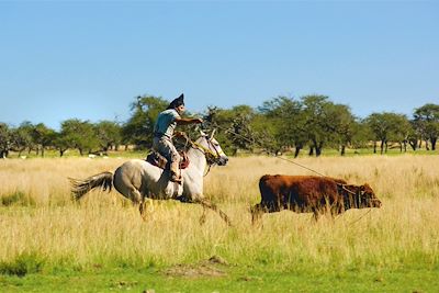 voyage Argentine