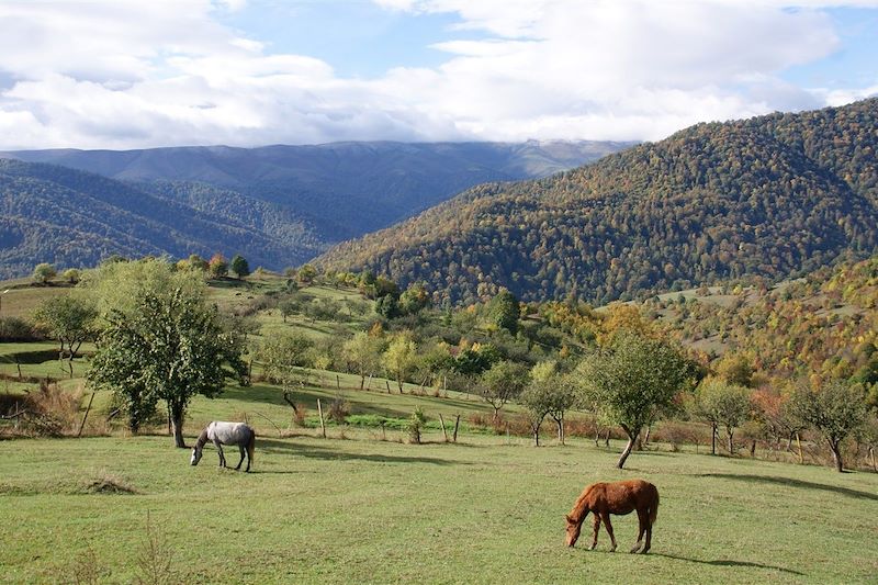 Parc national de Dilidjan - Arménie