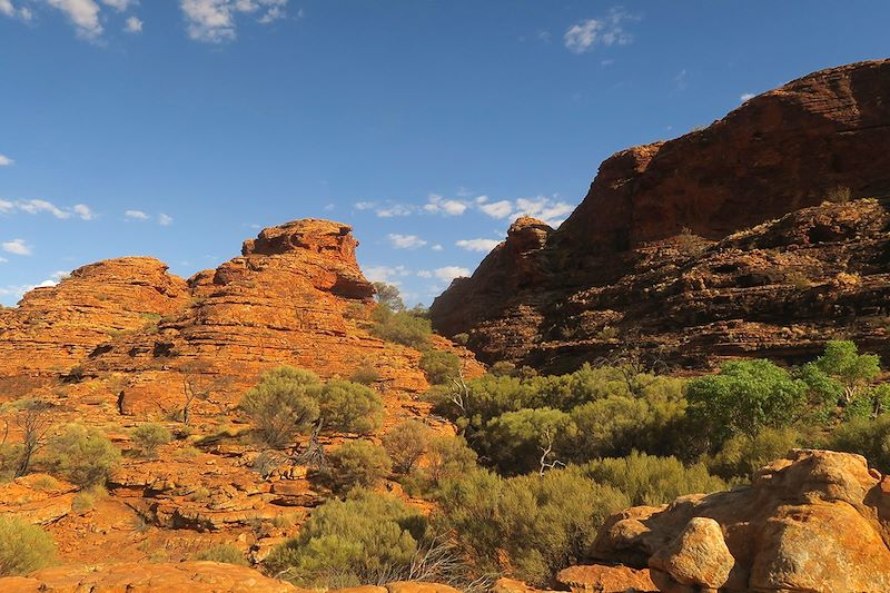 Kings Canyon - Parc National de Warrtaka - Australie