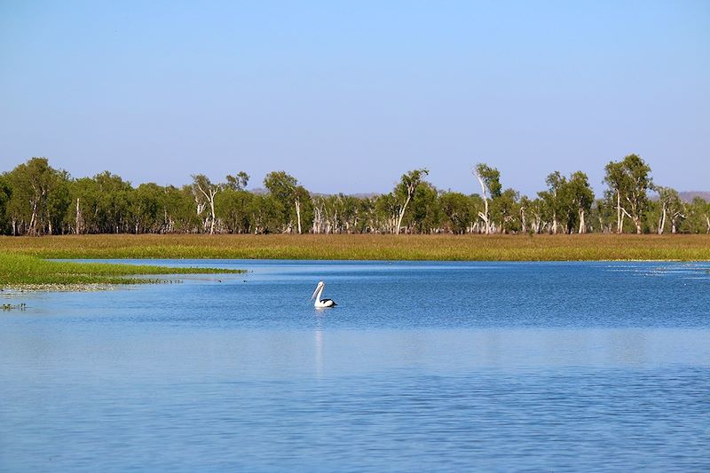 Yellow Water - Kakadu - Australie