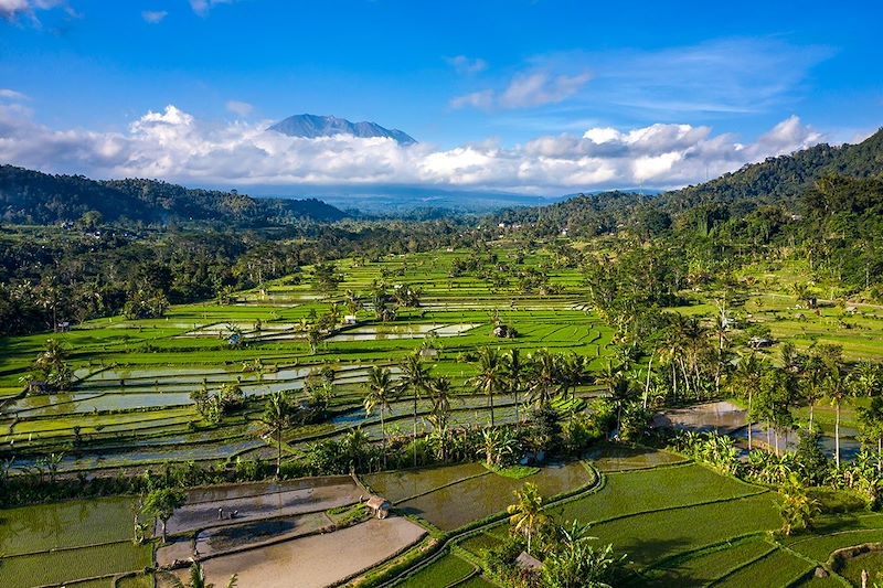 Rizière de Sidemen avec le volcan Agung en arrière-plan - Bali - Indonésie