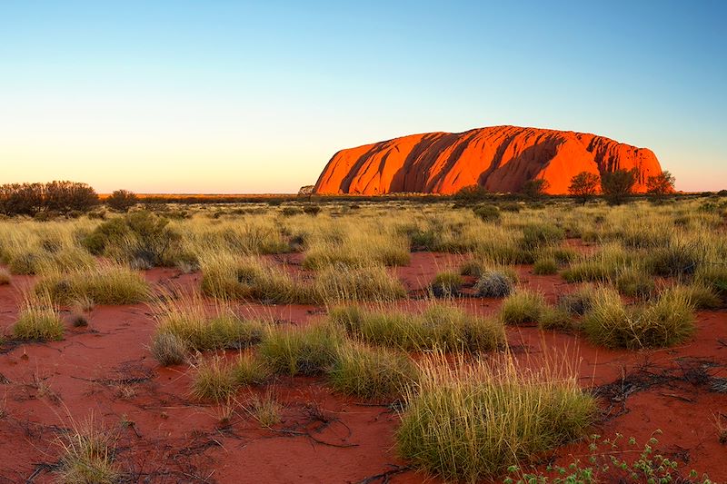 Ayers Rock - Parc national d'Uluru-Kata Tjuta - Territoire du Nord - Australie 