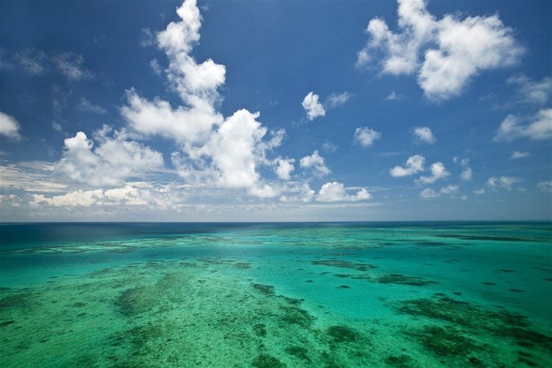 Vlassoff Reef dans la Grande Barrière de Corail - Cairns Queensland - Australie