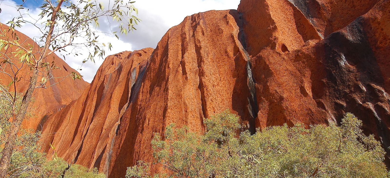 Image A la conquête de l'est australien !