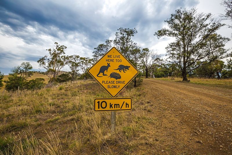 Panneau routier - Tasmanie - Australie