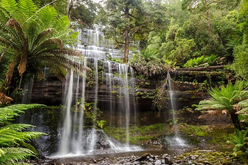 Chutes Russell - Mount Field - Tasmanie - Australie