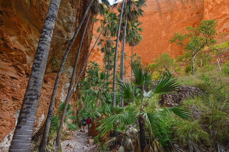 Parc national de Purnululu - Australie